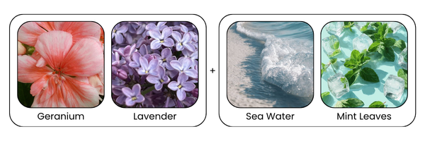 Key Ingredients
