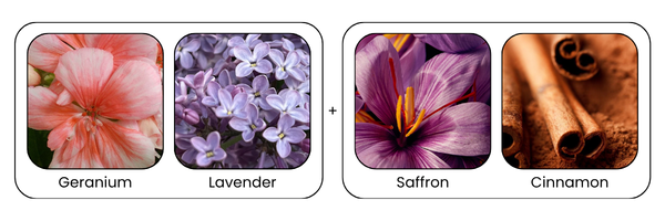 Key Ingredients