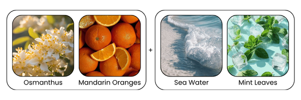 Key Ingredients