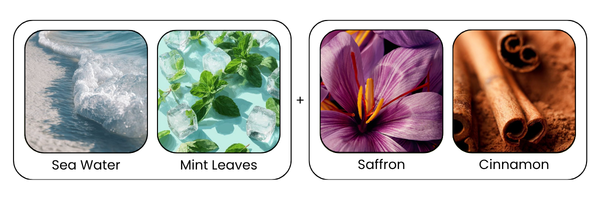 Key Ingredients