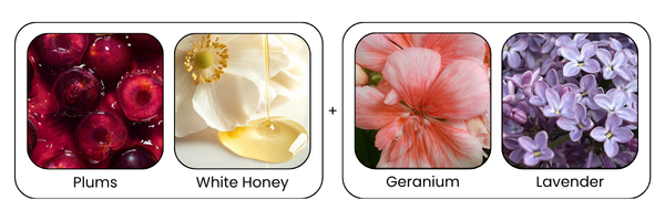 Key Ingredients