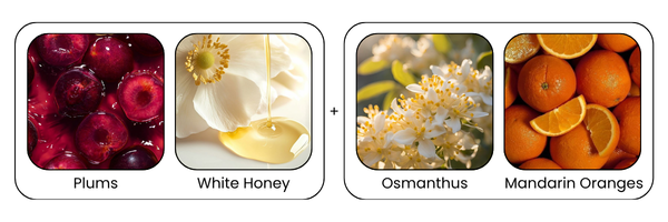 Key Ingredients